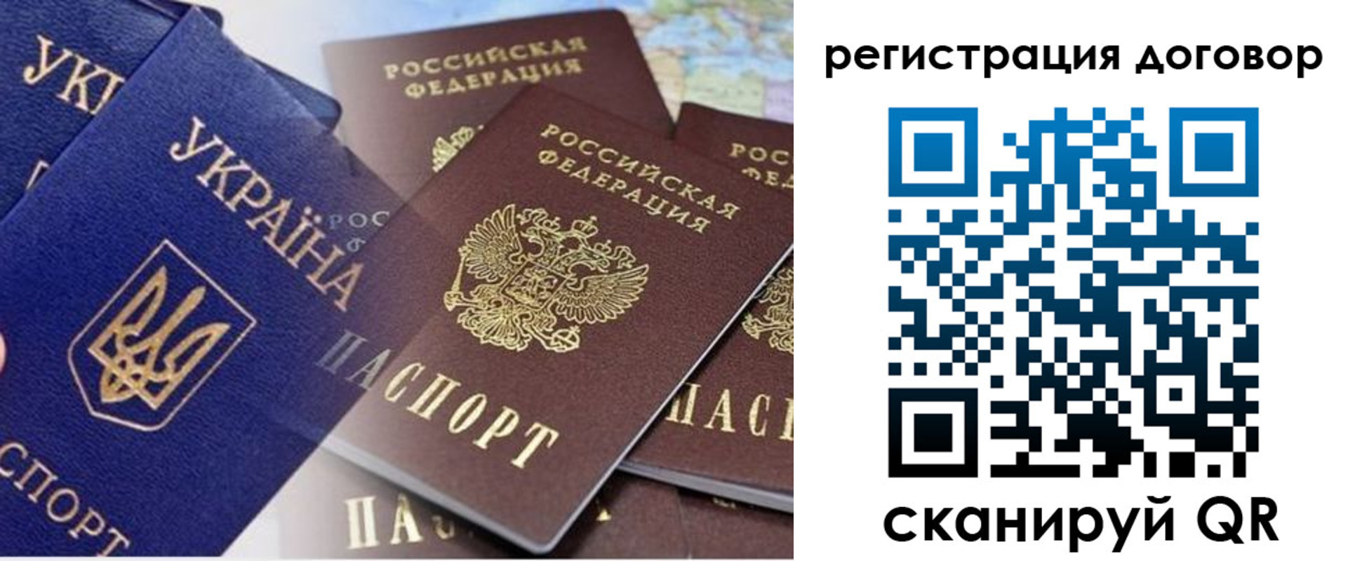 прописка гарантия в Дмитрове